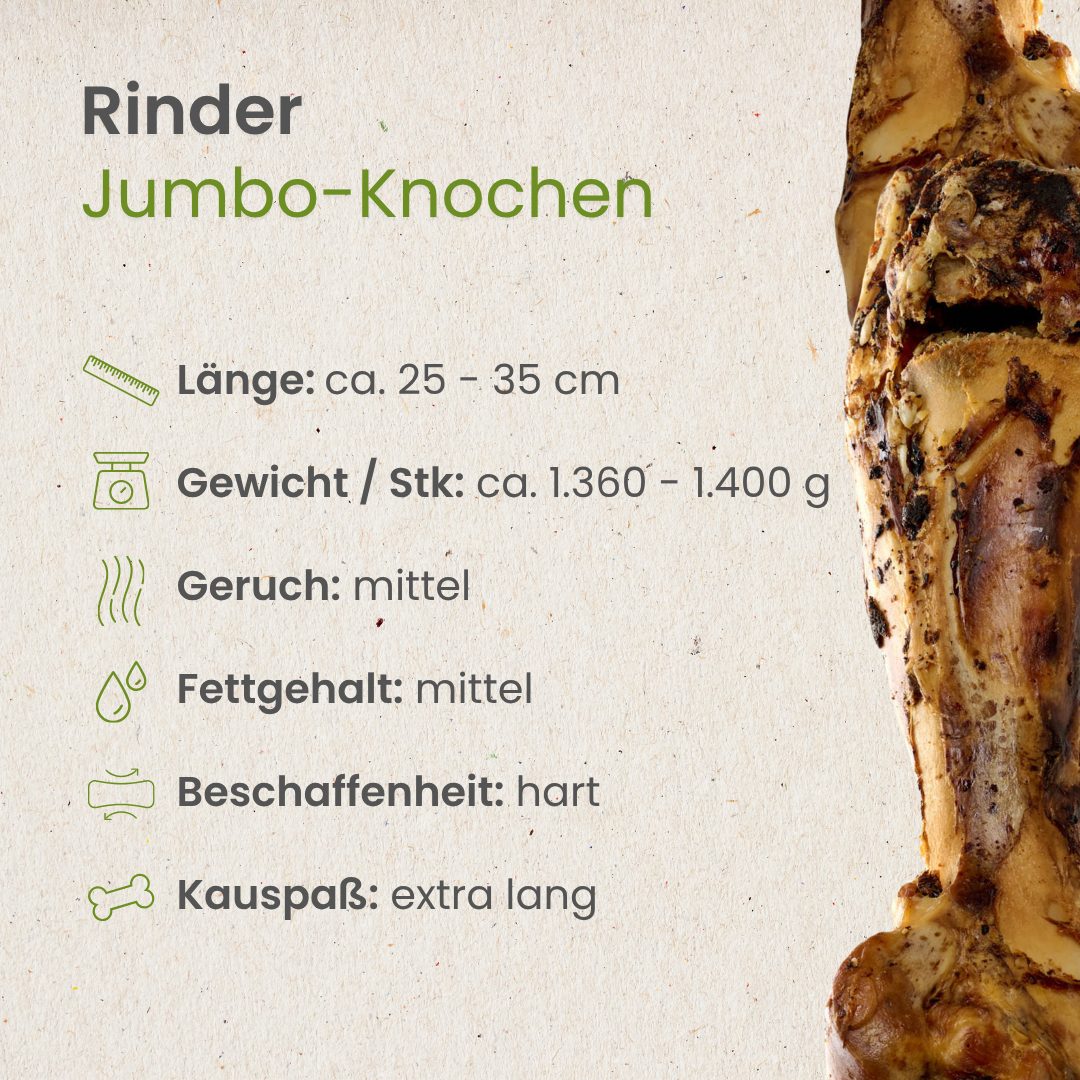 Rinder Jumbo-Knochen