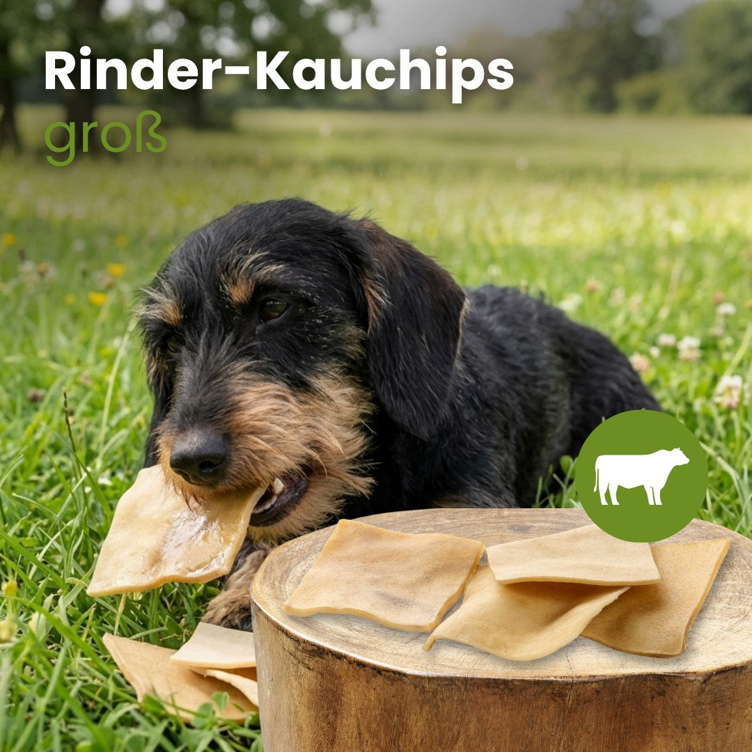 Rinder-Kauchips, groß