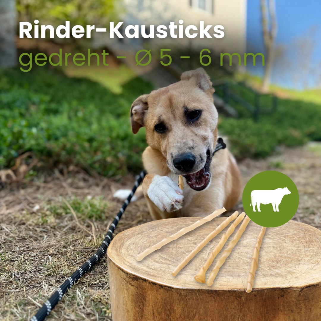 Rinder-Kausticks, gedreht - Ø 5 - 6 mm