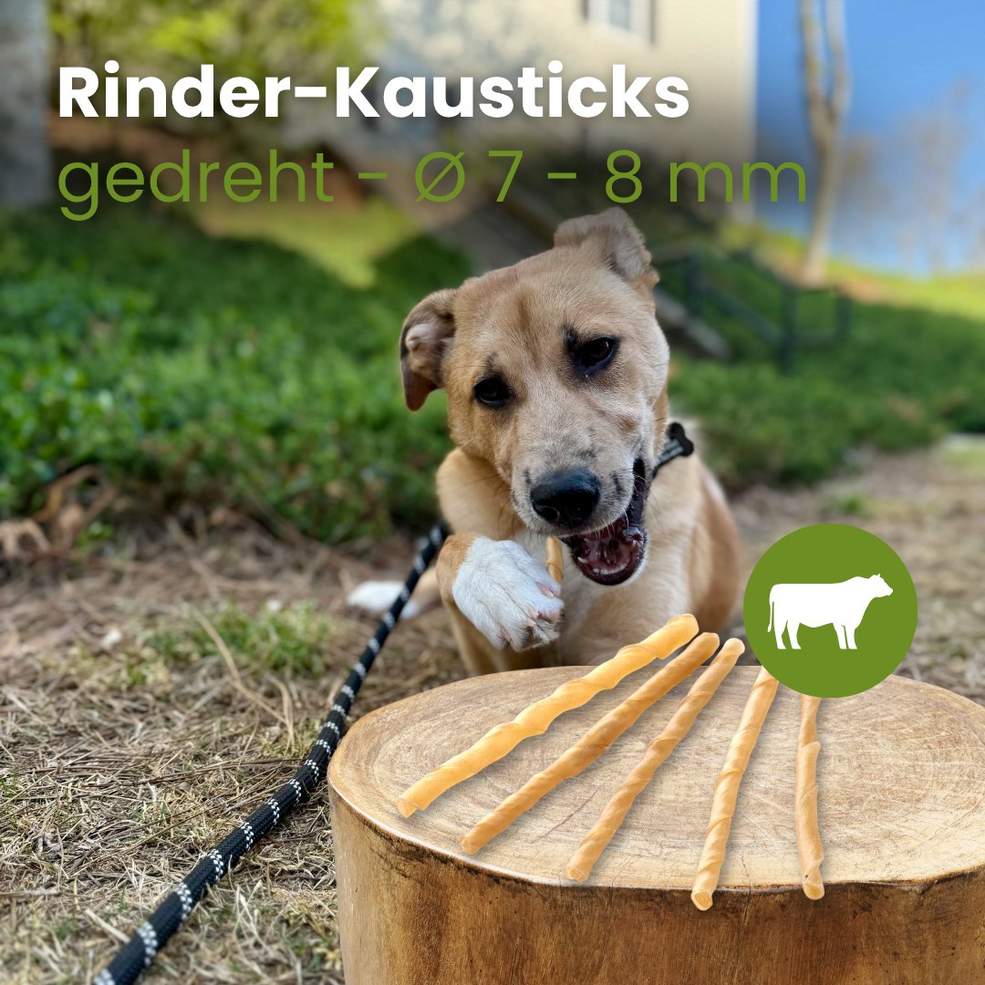 Rinder-Kausticks, gedreht - Ø 7 - 8 mm