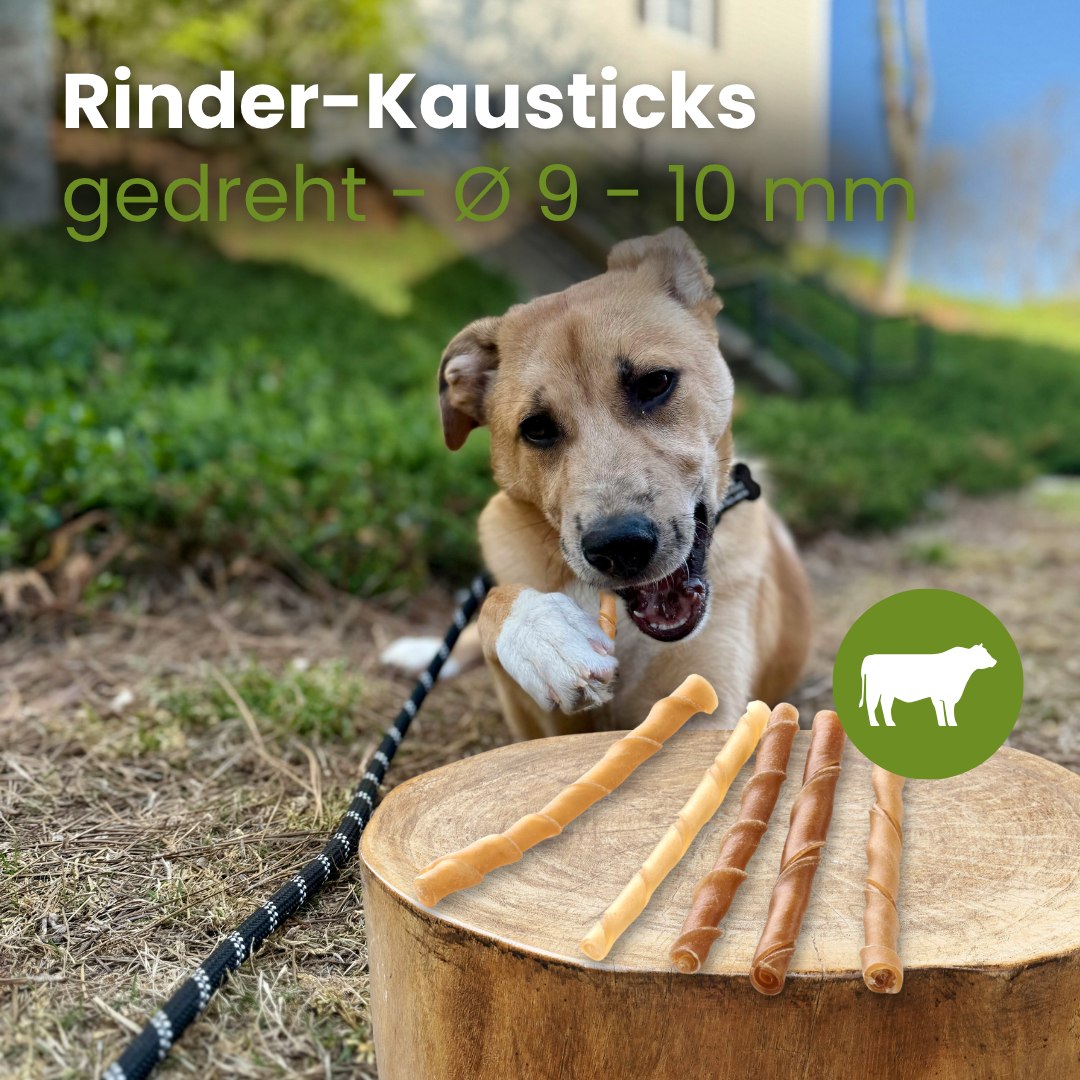 Rinder-Kausticks, gedreht - Ø 9 - 10 mm