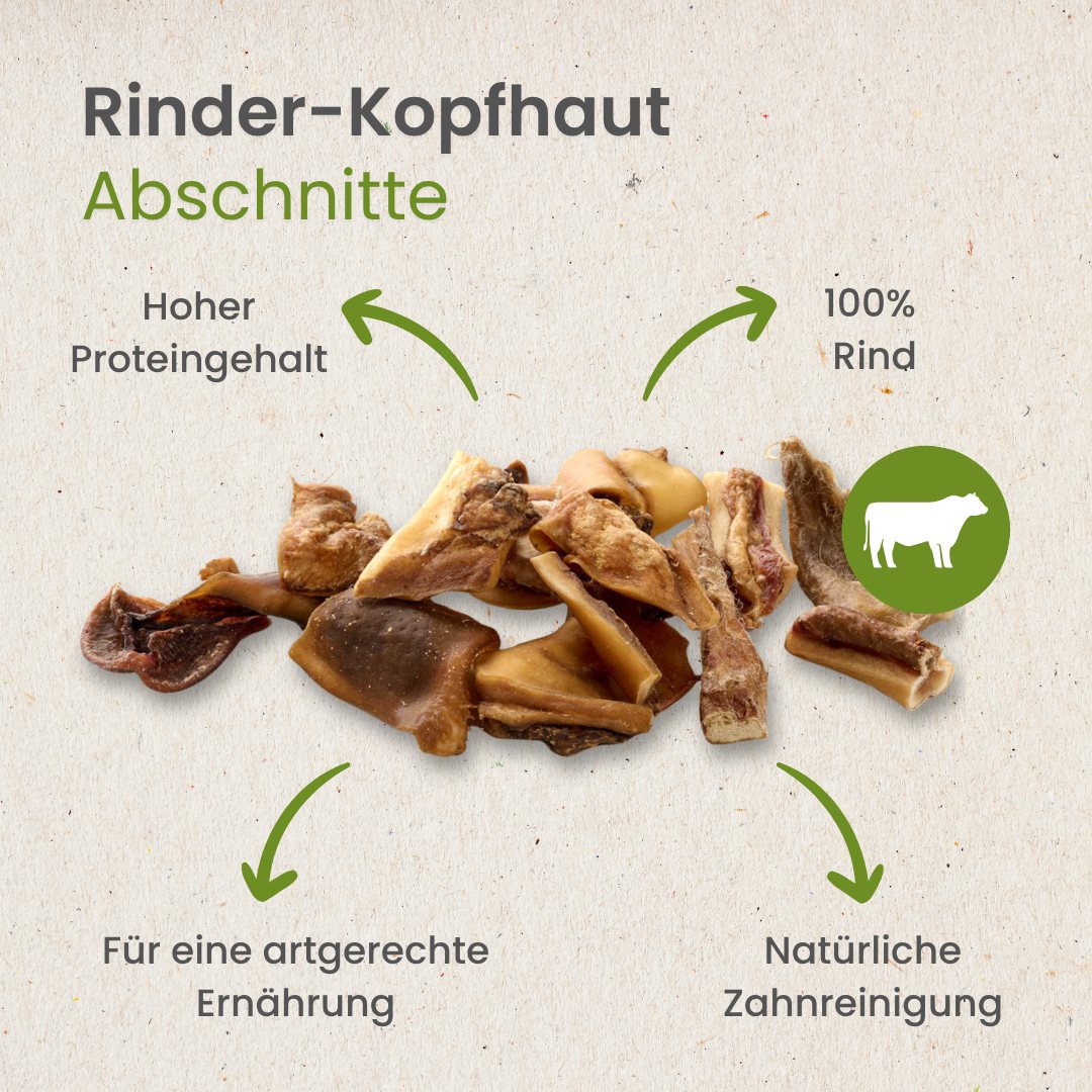 Rinder-Kopfhaut, Abschnitte