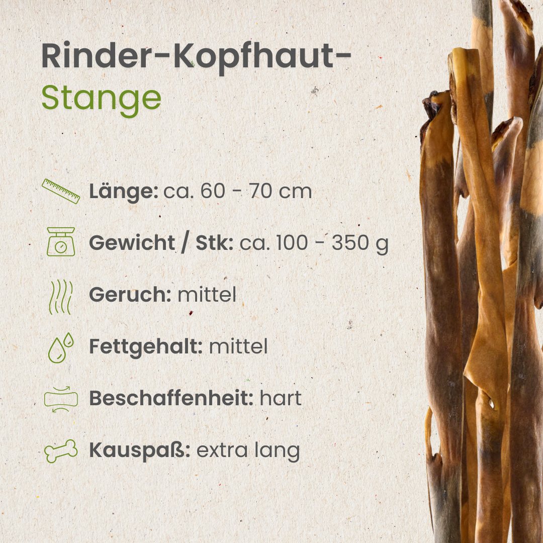 Rinder-Kopfhaut-Stange