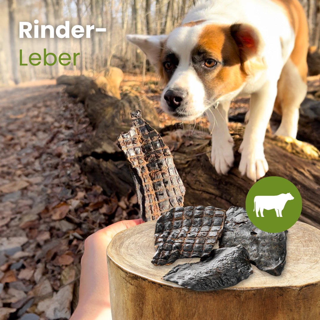 Rinder-Leber