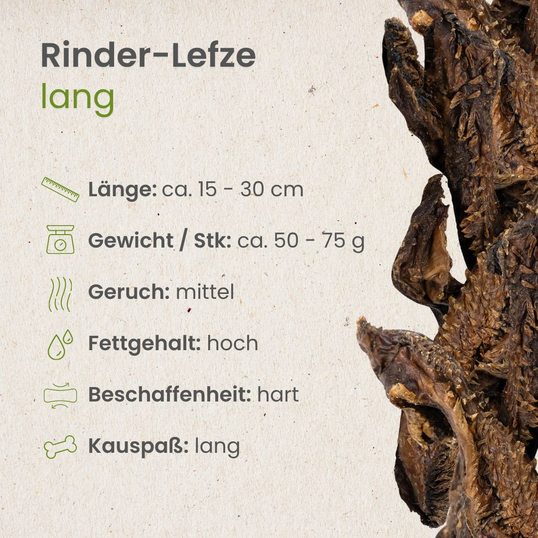 Rinder-Lefze, lang