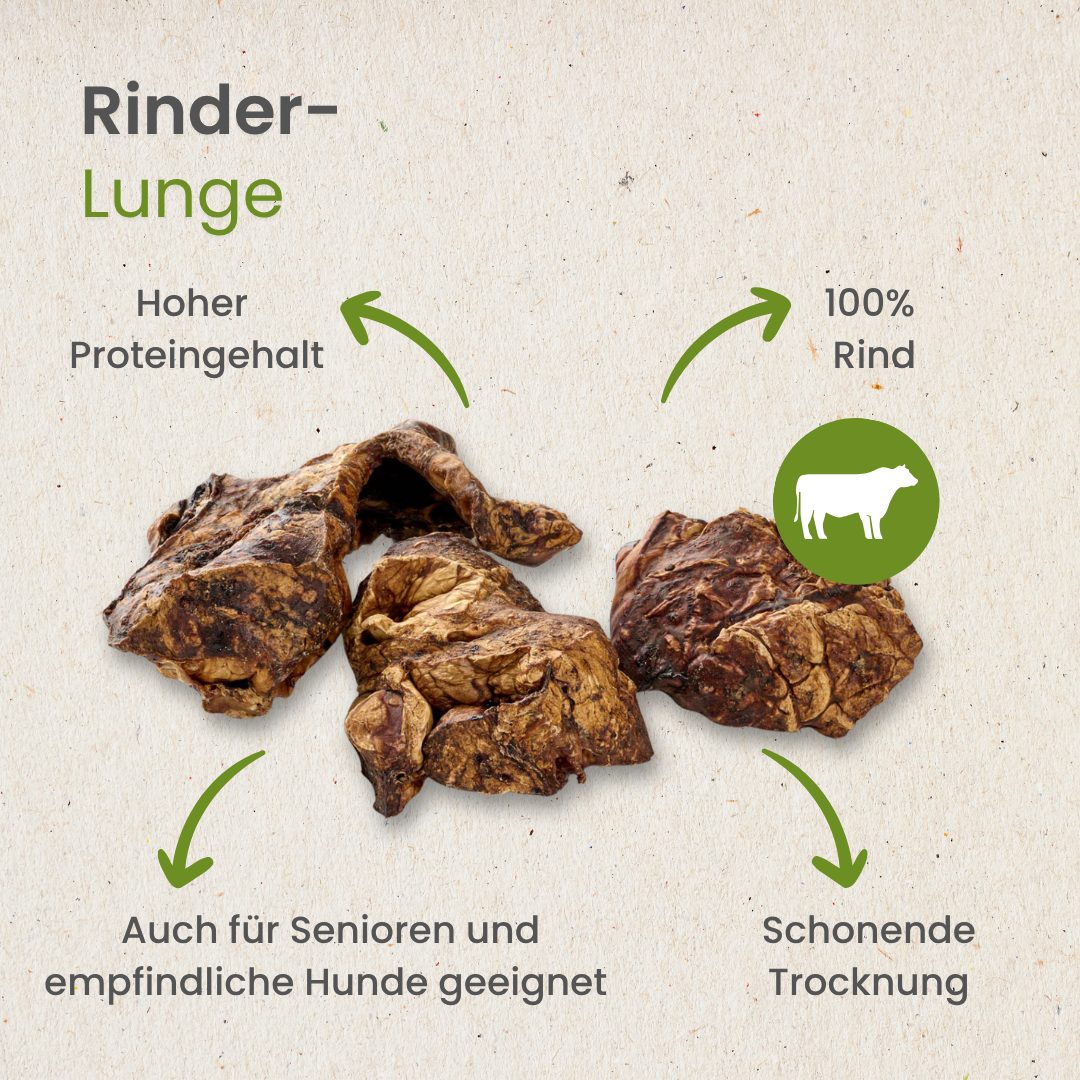 Rinder-Lunge