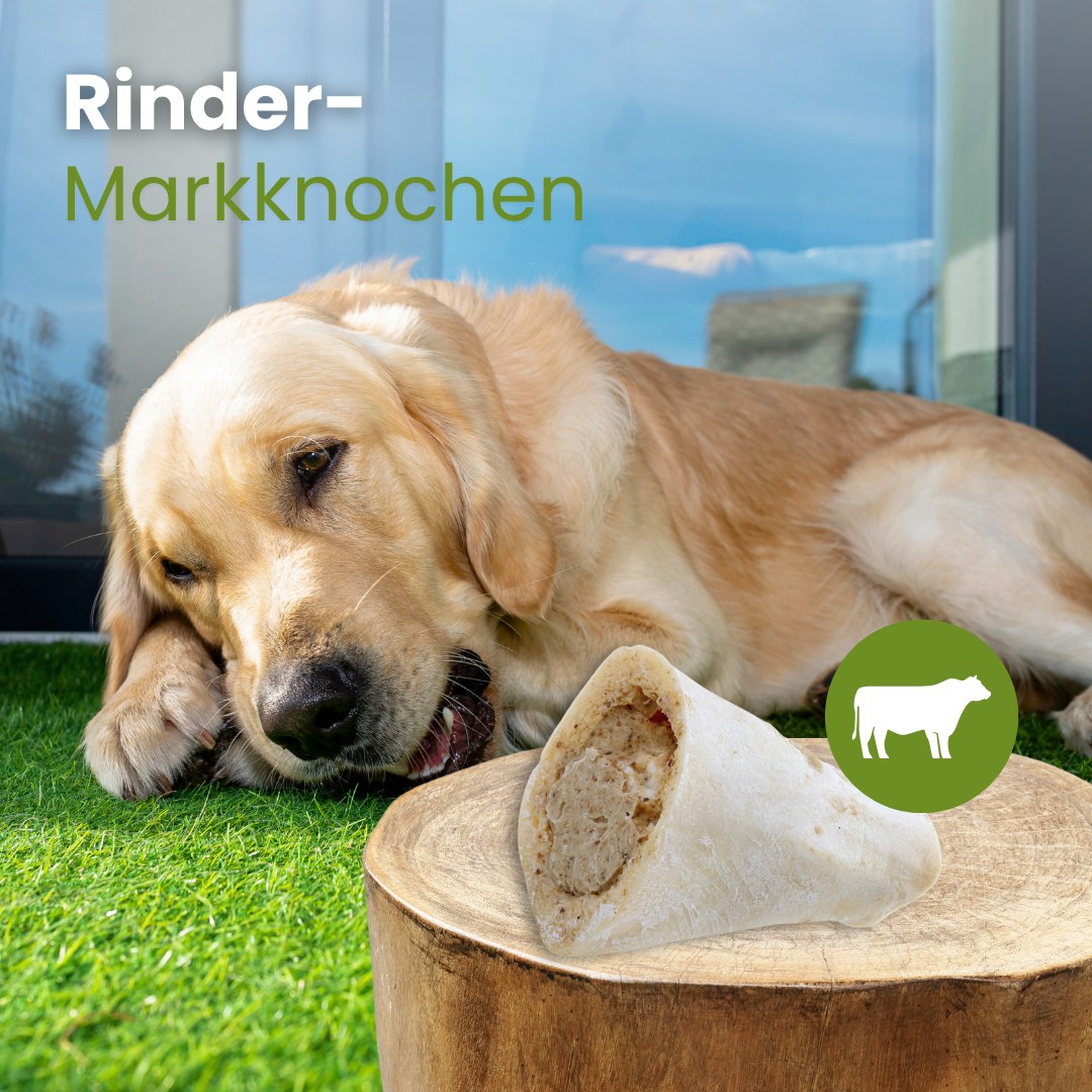Rinder-Markknochen