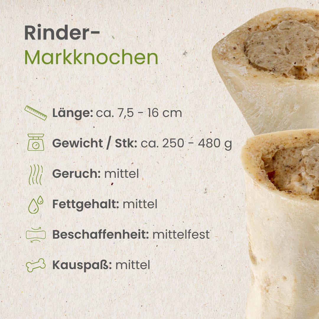 Rinder-Markknochen