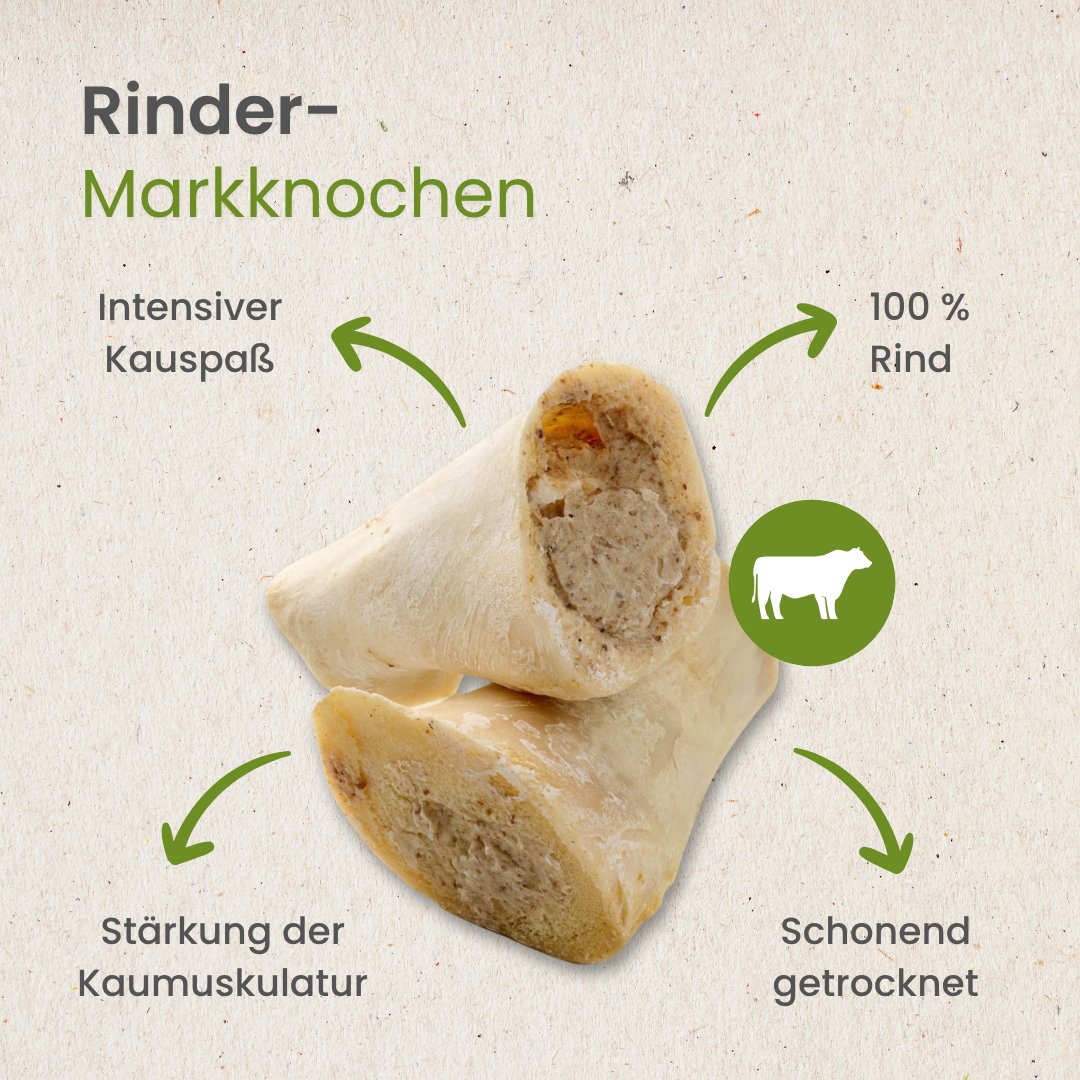 Rinder-Markknochen