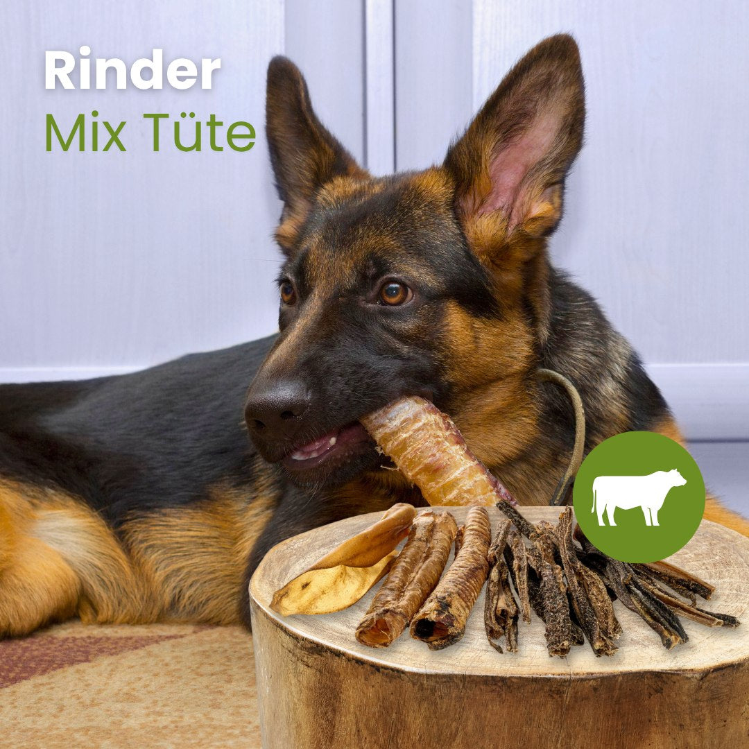 Rinder MIX TÜTE