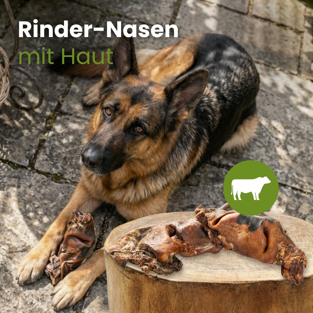 Rinder-Nasen mit Haut