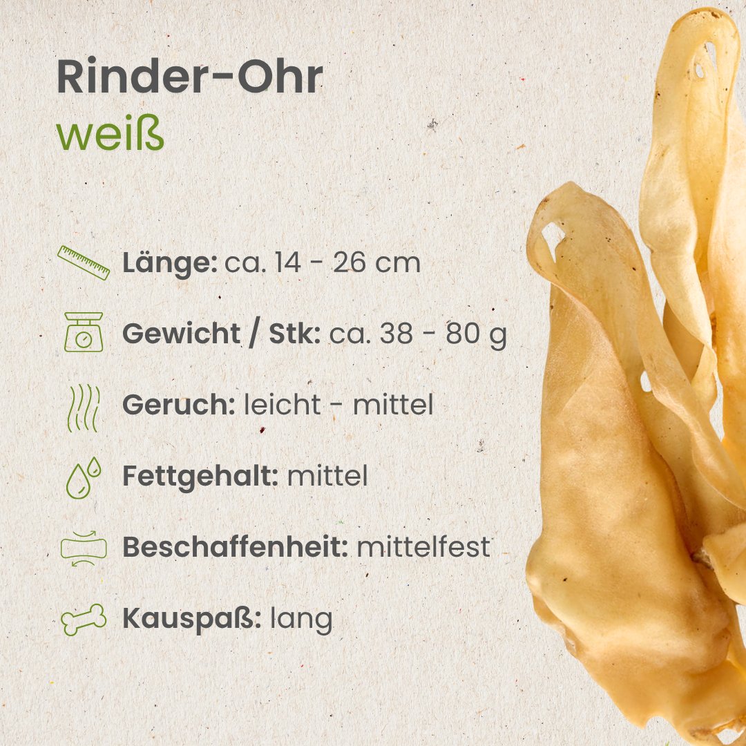 Rinder-Ohr, hell   -   (ehemals Rinder-Ohr, weiß)