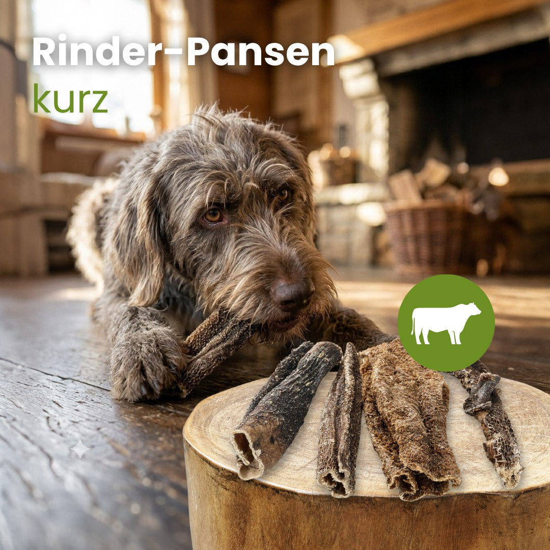 Rinder-Pansen, kurz