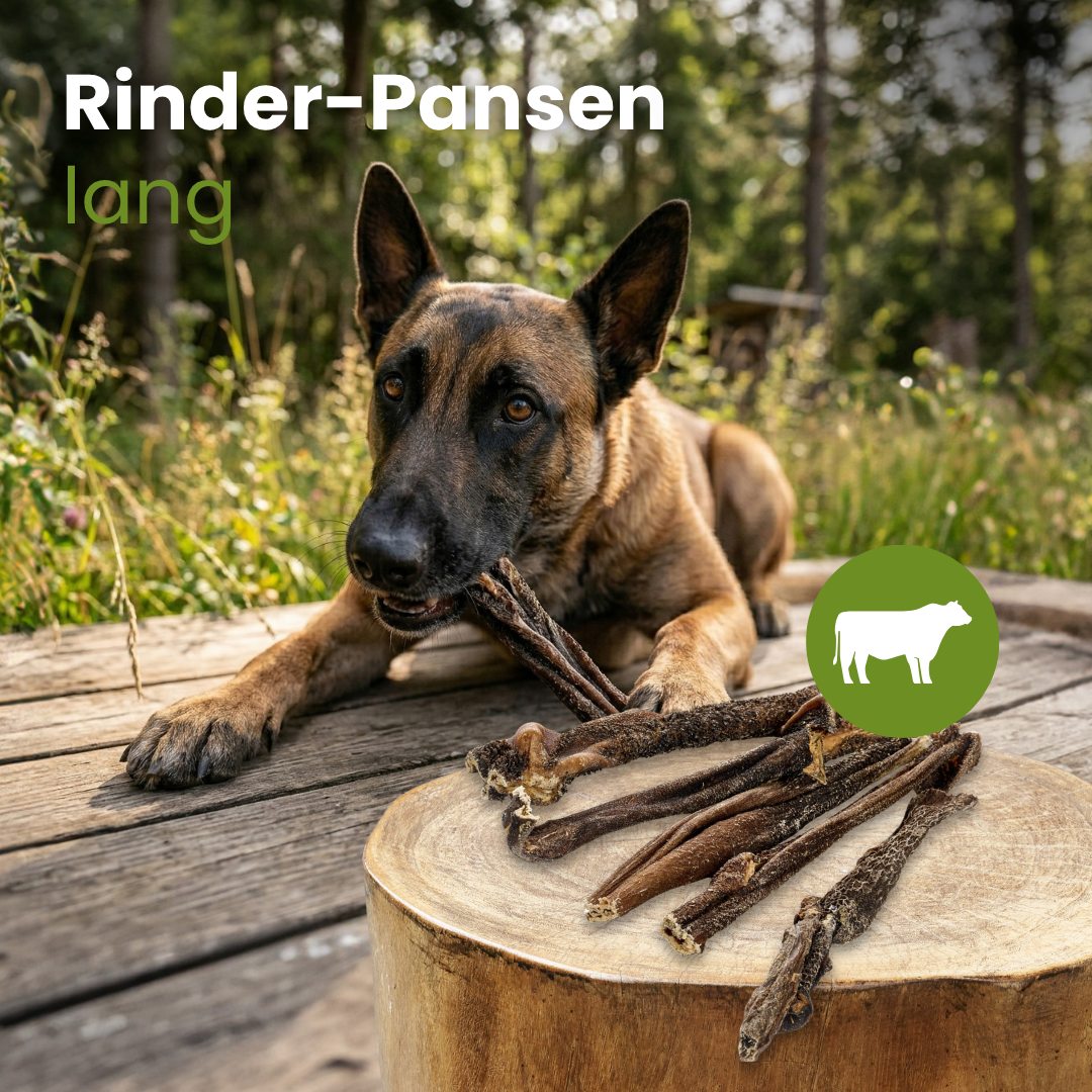 Rinder-Pansen,lang