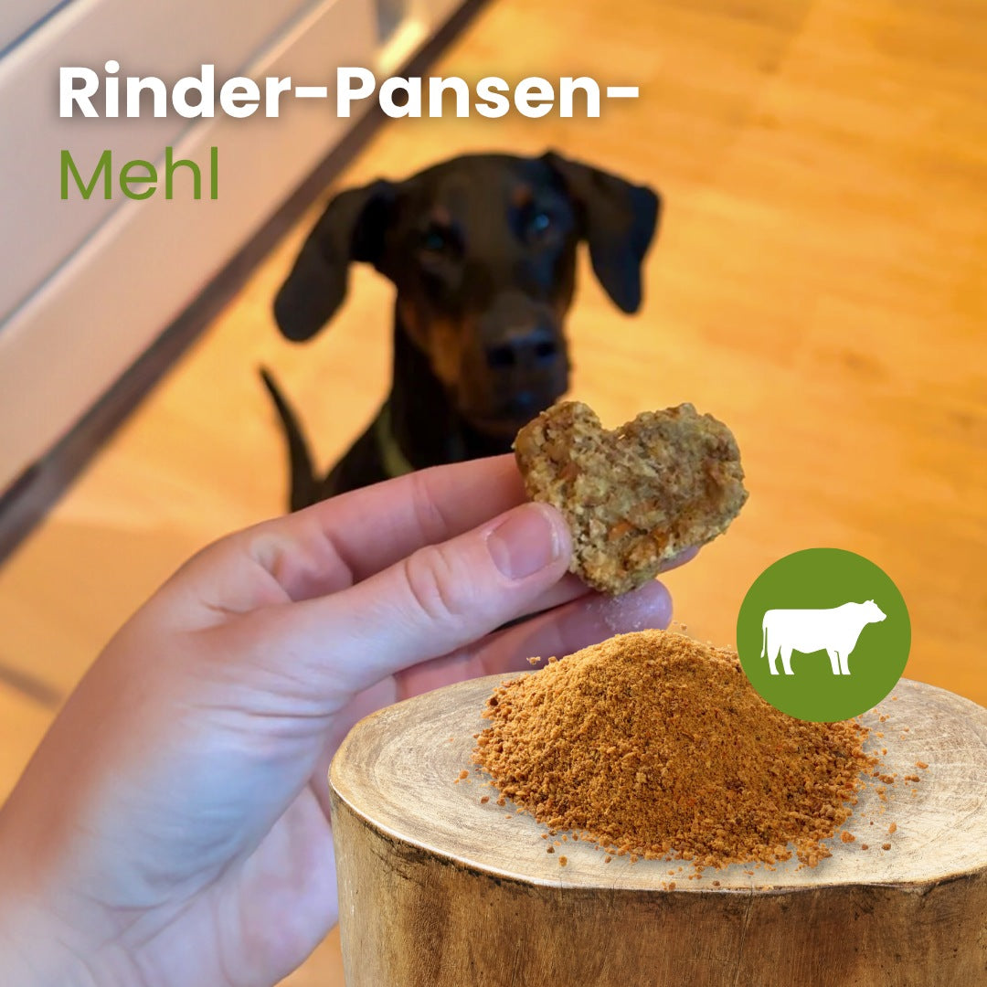 Rinder-Pansen-Mehl
