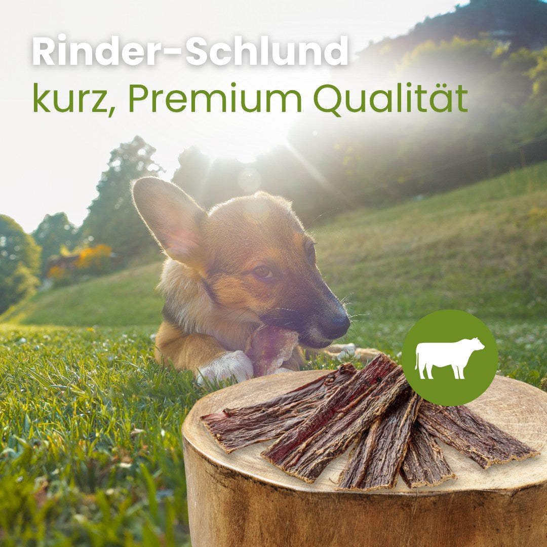 Rinder-Schlund, kurz Premium Qualität