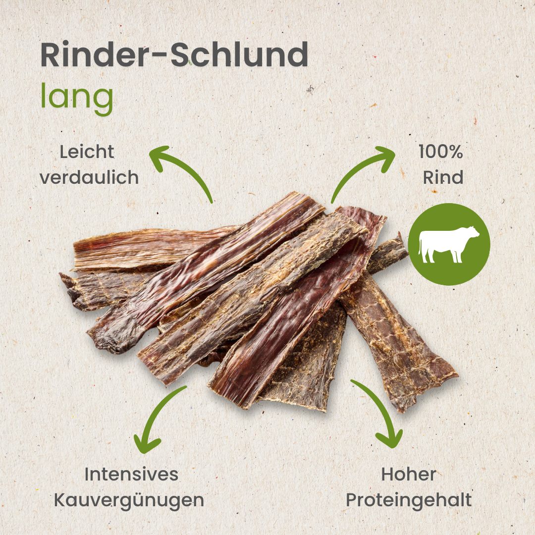 Rinder-Schlund, lang