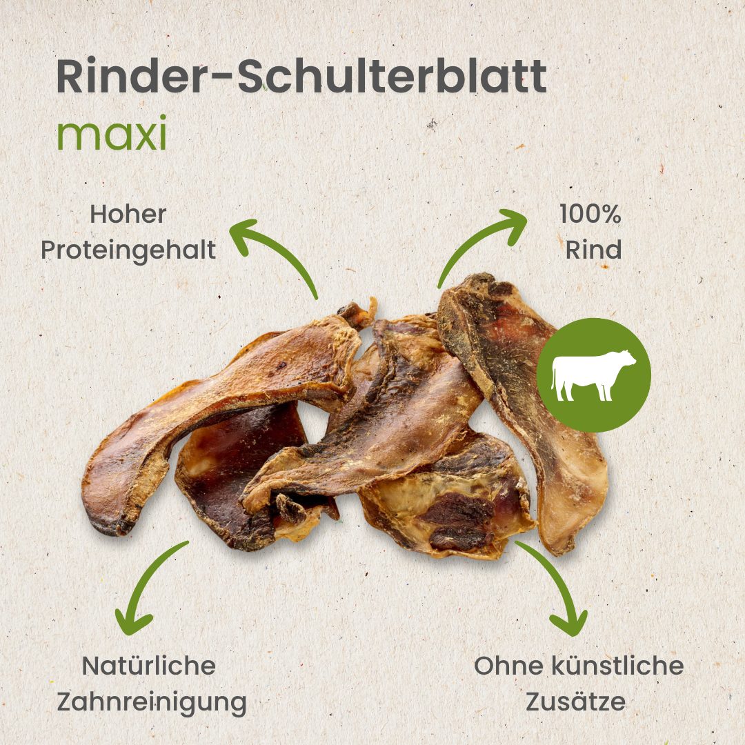 Rinder-Schulterblatt Maxi