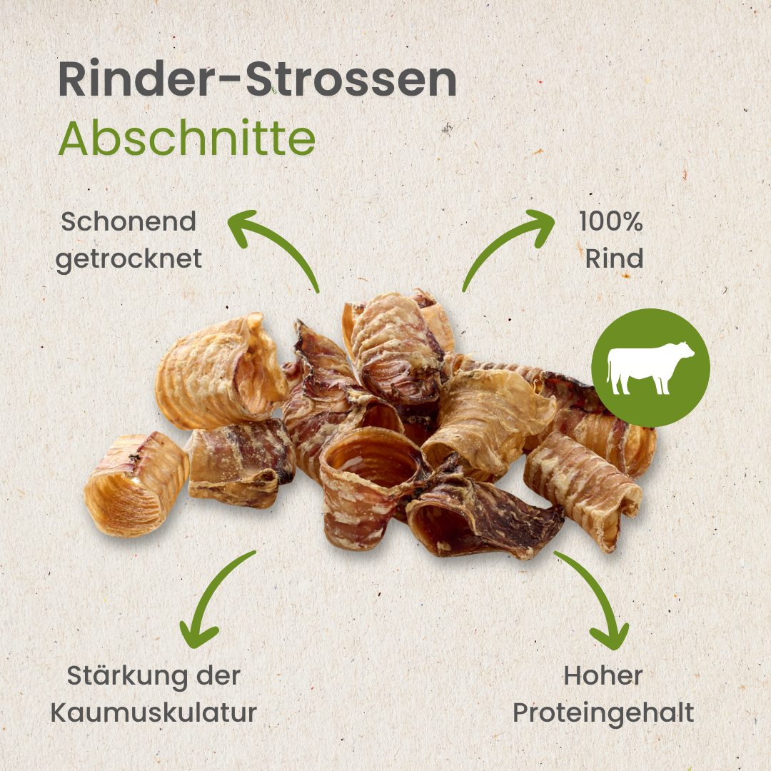 Rinder-Strossen, Abschnitte