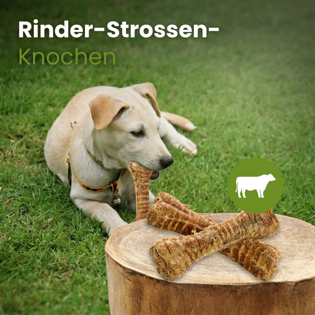 Rinder-Strossen-Knochen