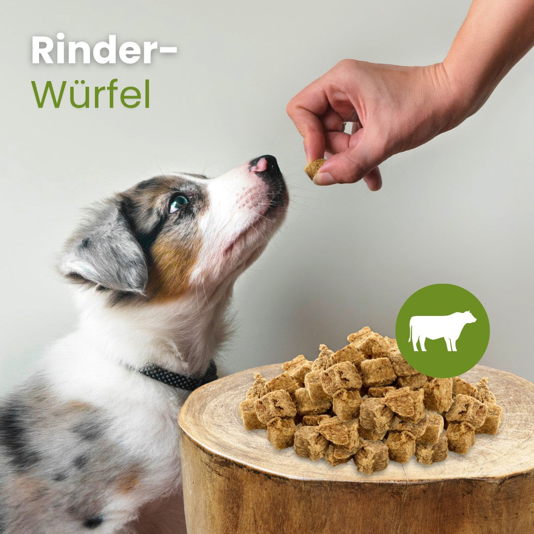 Rinder-Würfel