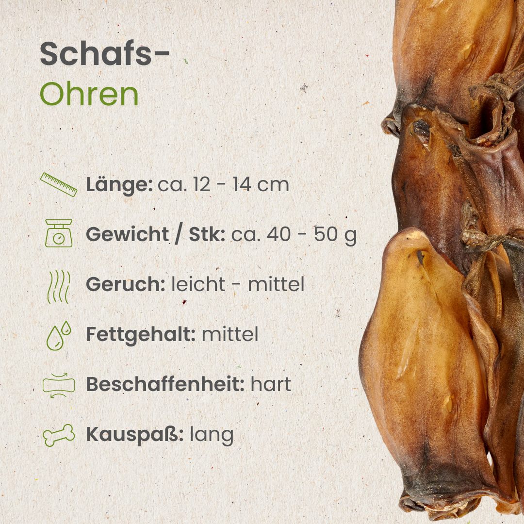 Schafs-Ohren