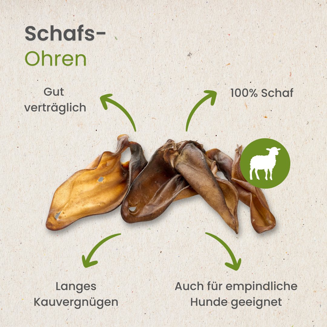 Schafs-Ohren