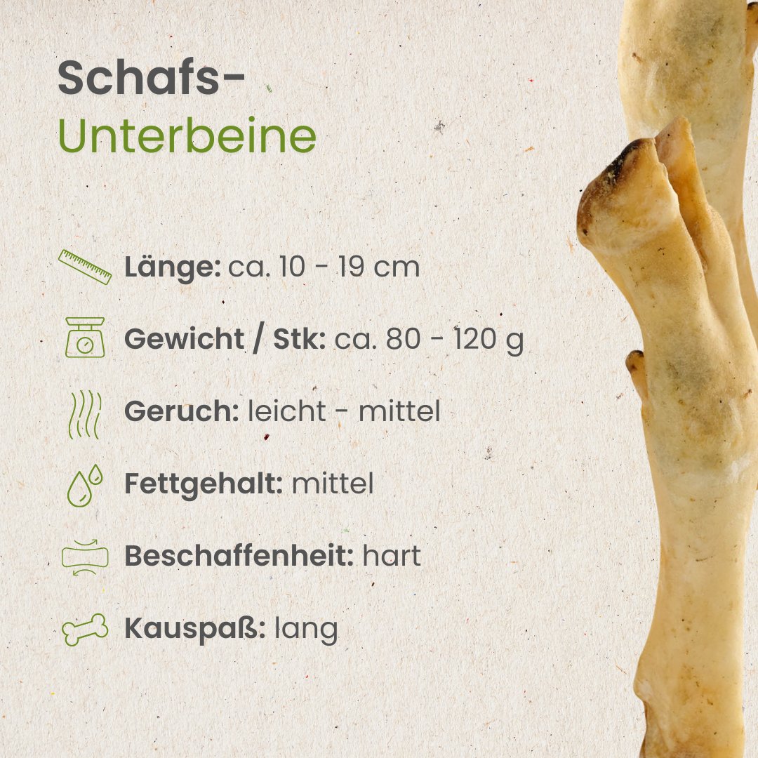 Schafs-Unterbeine