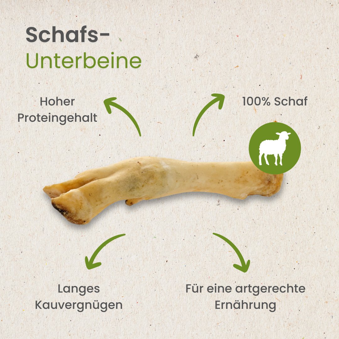 Schafs-Unterbeine