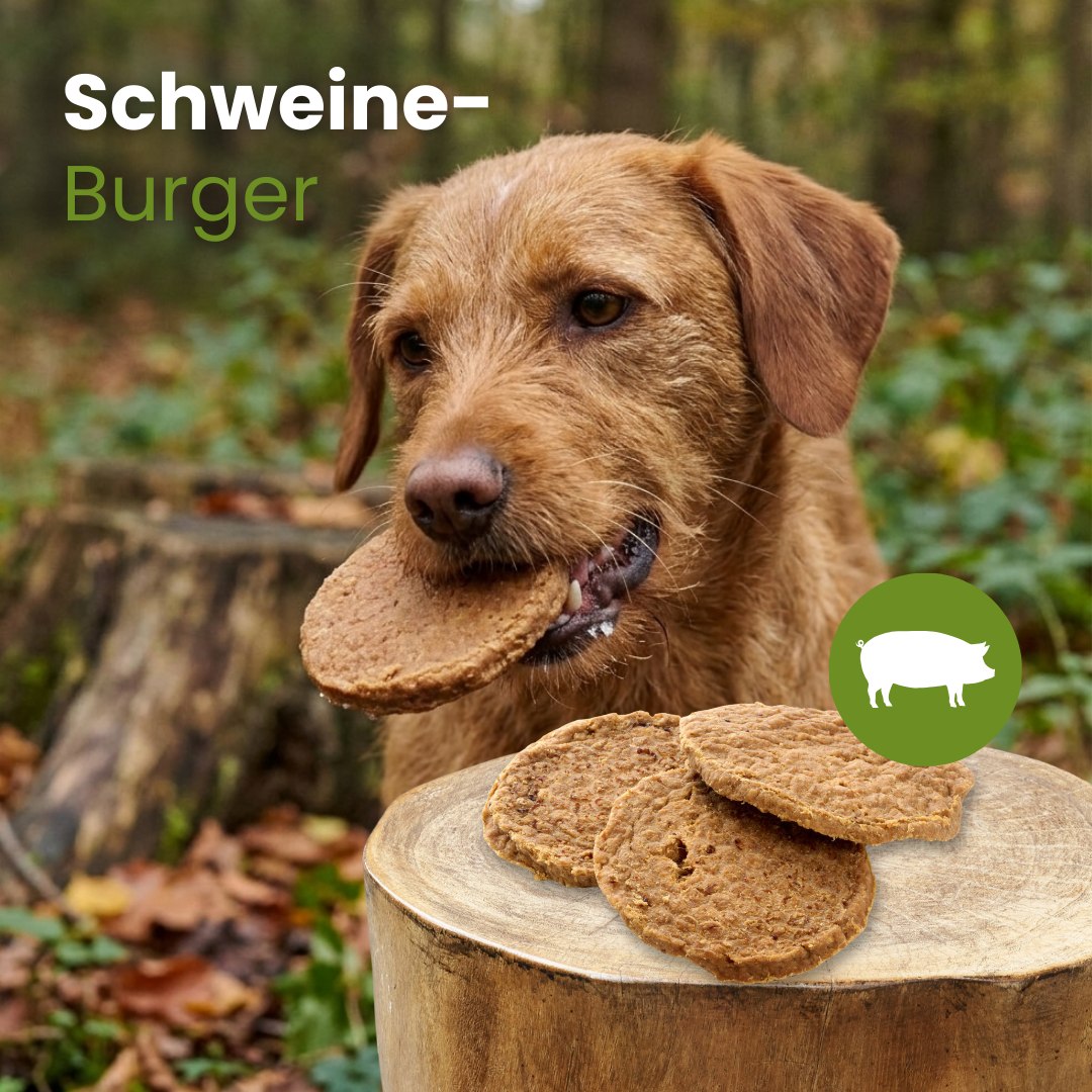 Schweine-Burger