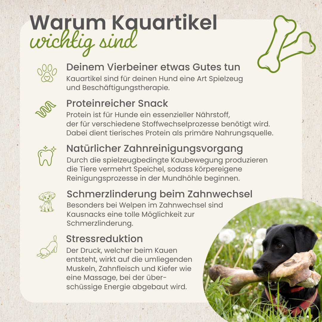 Schweine-Burger