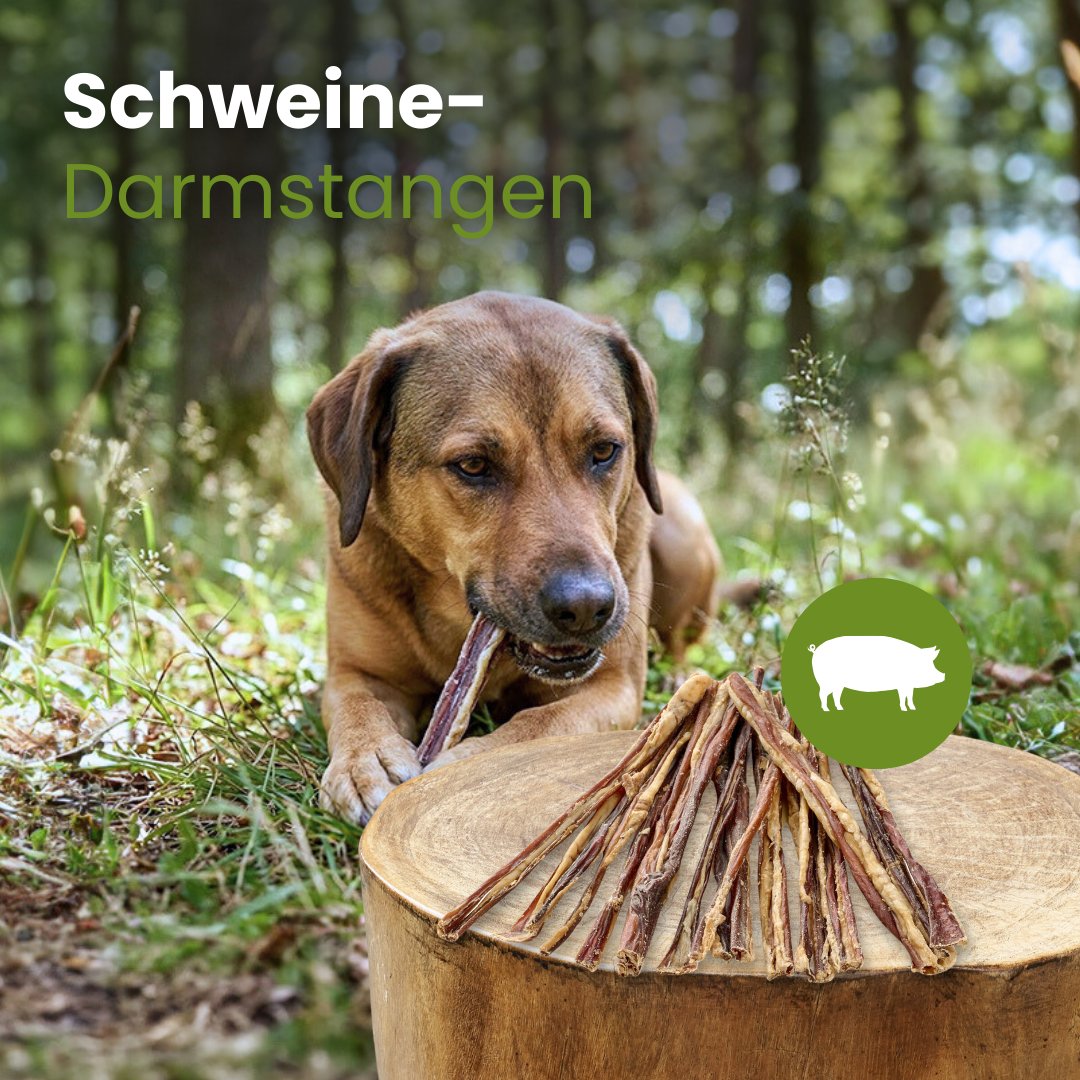 Schweine-Darmstangen 20cm