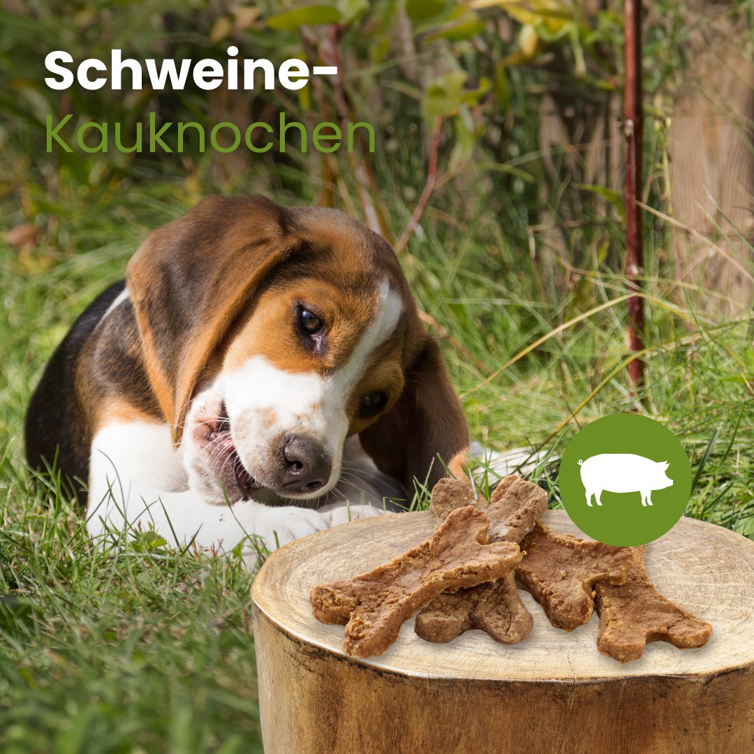 Schweine-Kauknochen