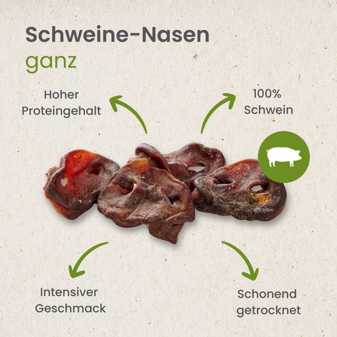 Schweine-Nasen, ganz