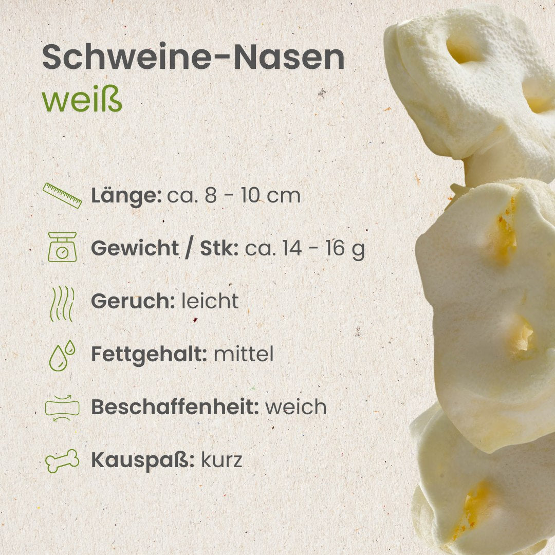 Schweine-Nasen, weiß