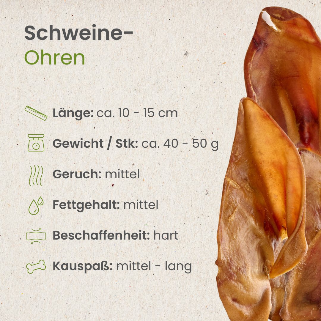 Schweine-Ohren