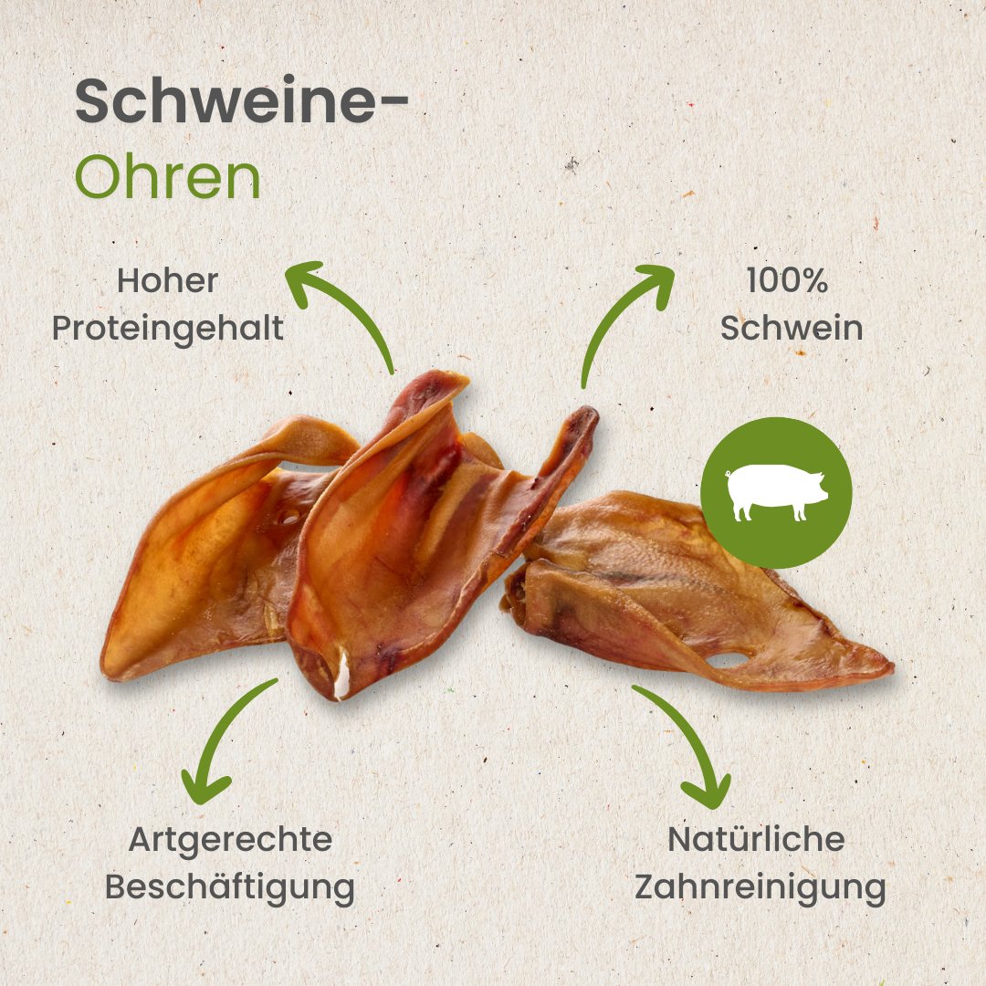 Schweine-Ohren