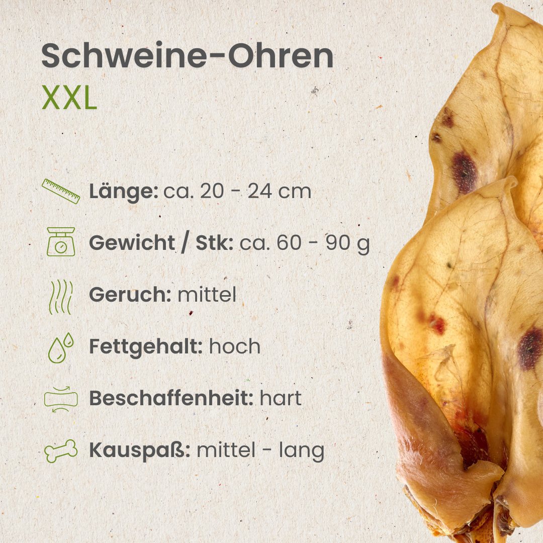Schweine-Ohren XXL