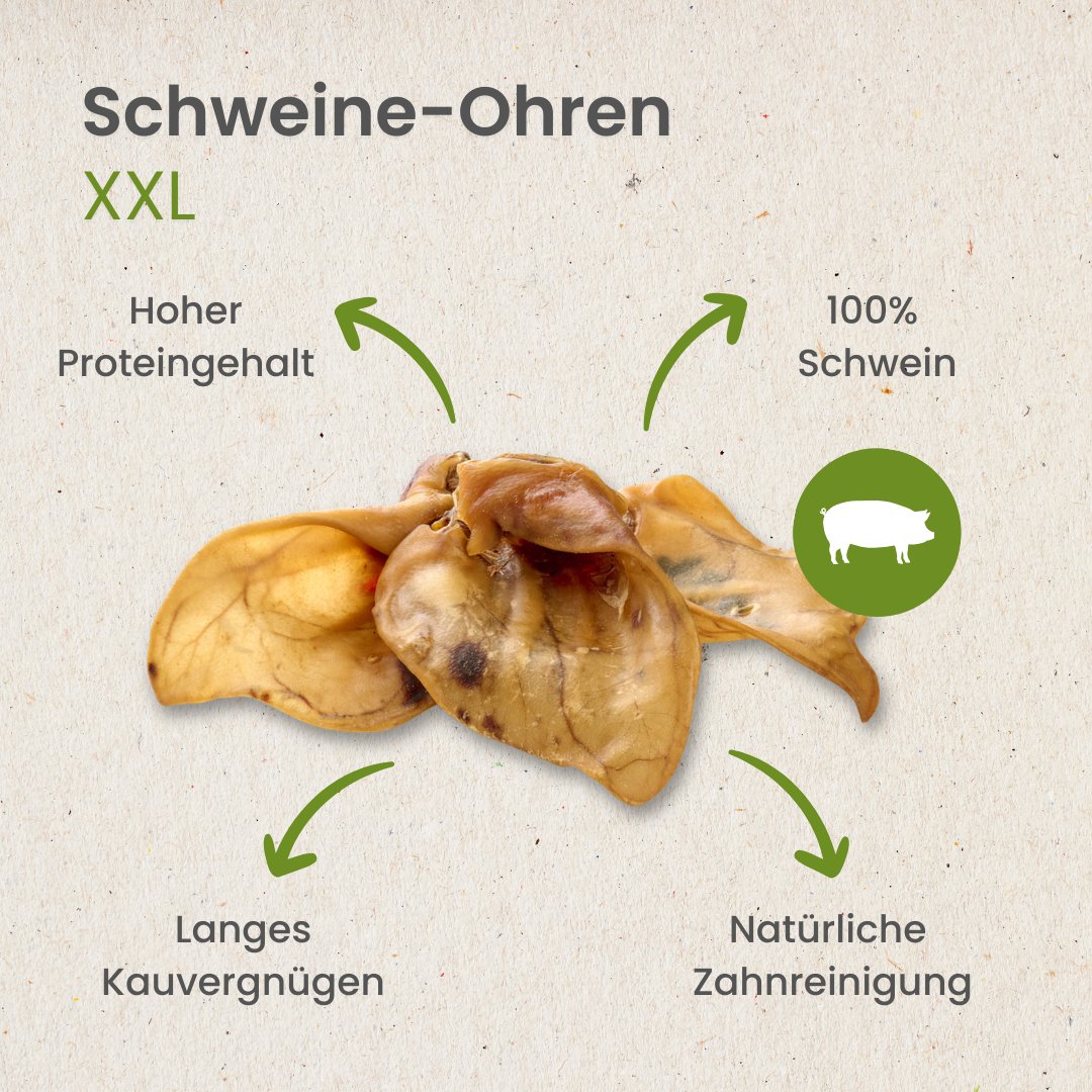 Schweine-Ohren XXL