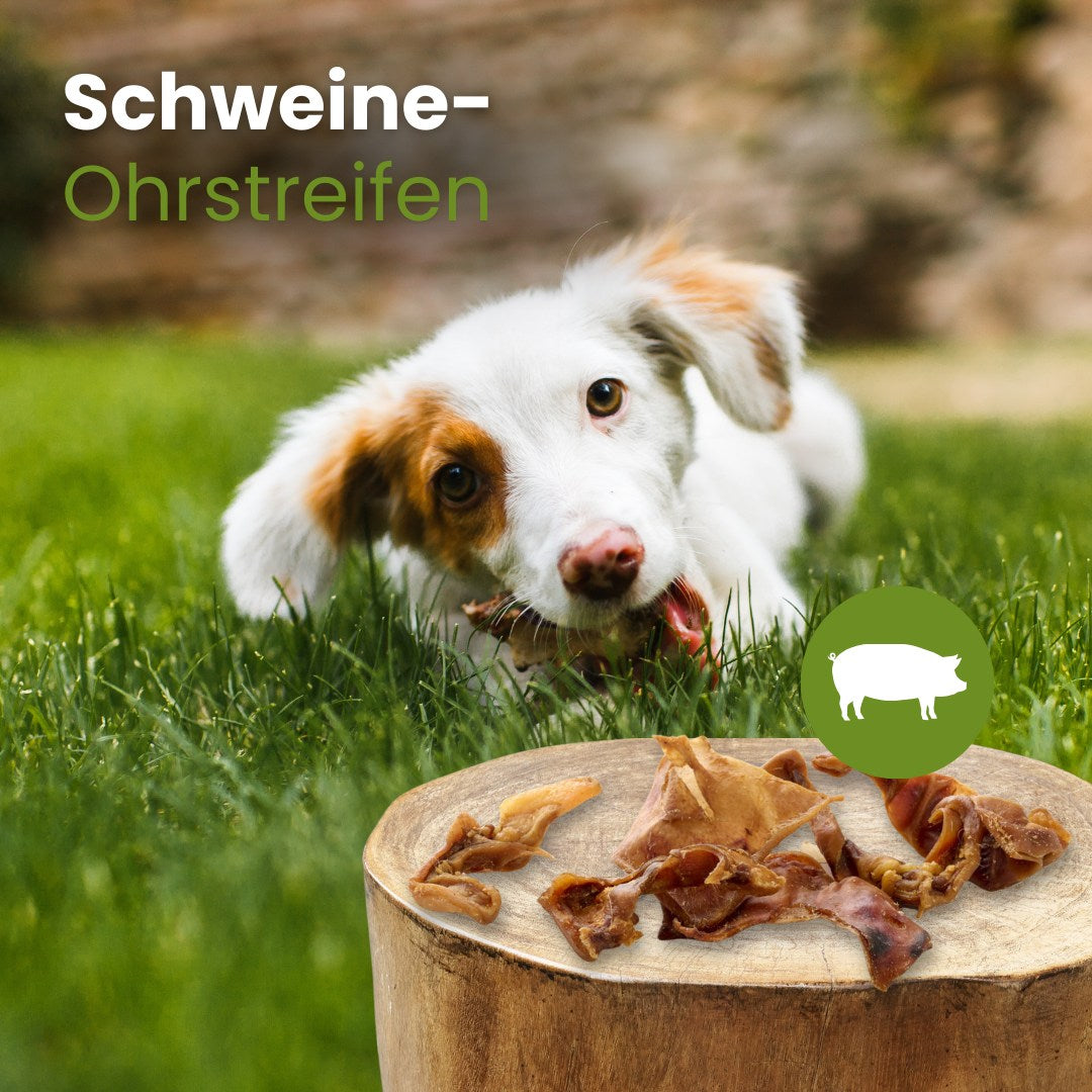 Schweine-Ohrstreifen