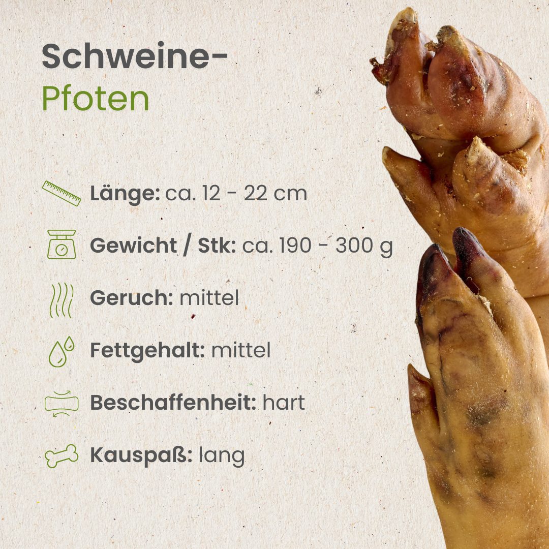 Schweine-Pfoten