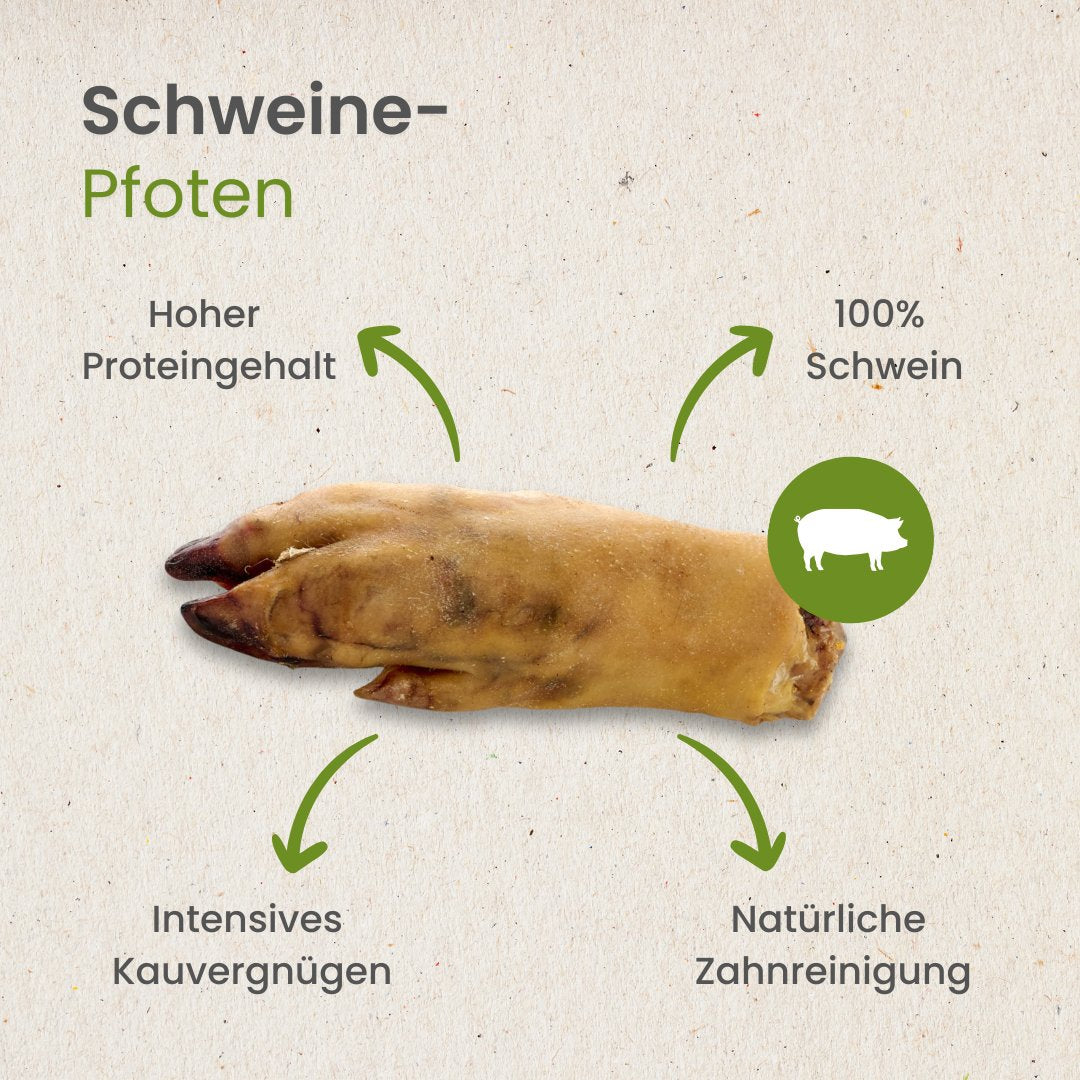 Schweine-Pfoten