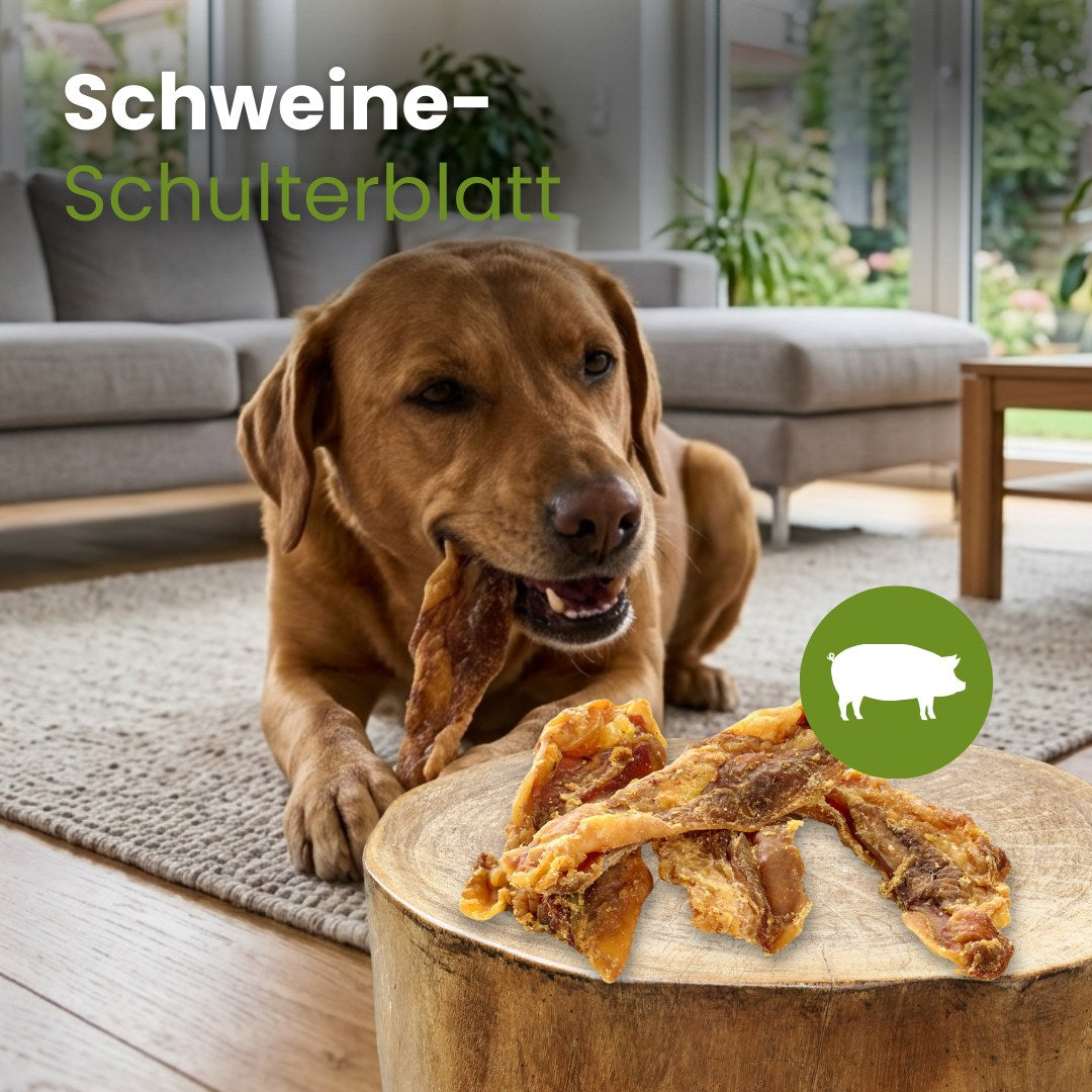 Schweine-Schulterblatt