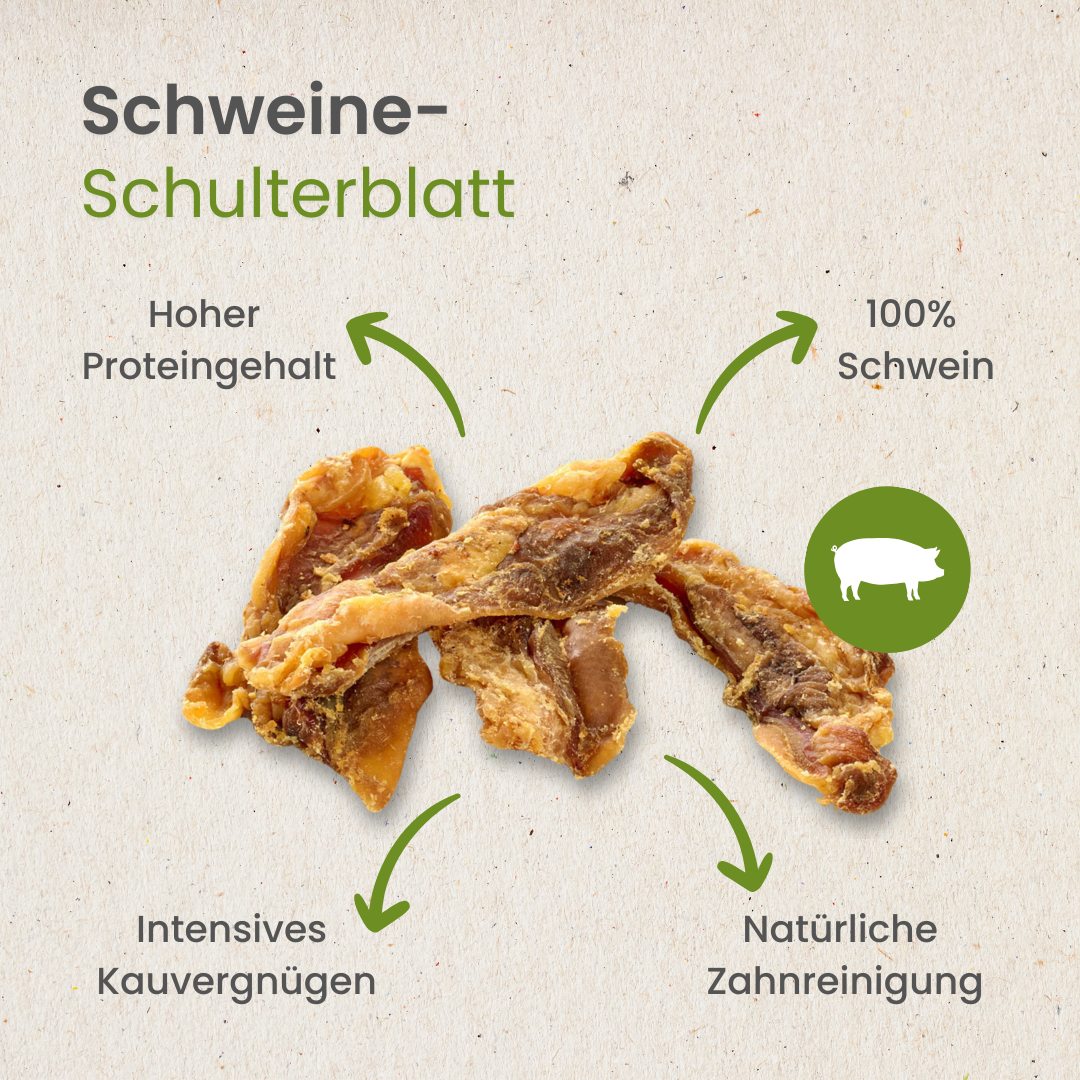Schweine-Schulterblatt