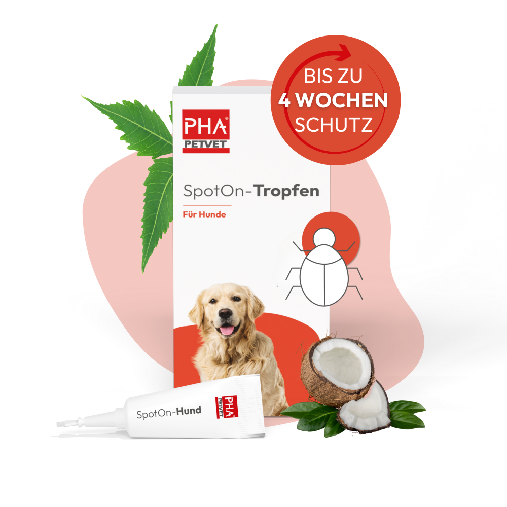 PHA Spot-onTropfen für Hunde 2 x 2 ml
