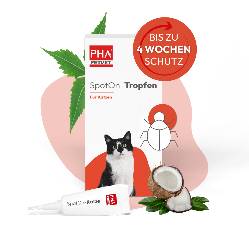 PHA Spot-onTropfen für Katzen 2 x 1,5 ml