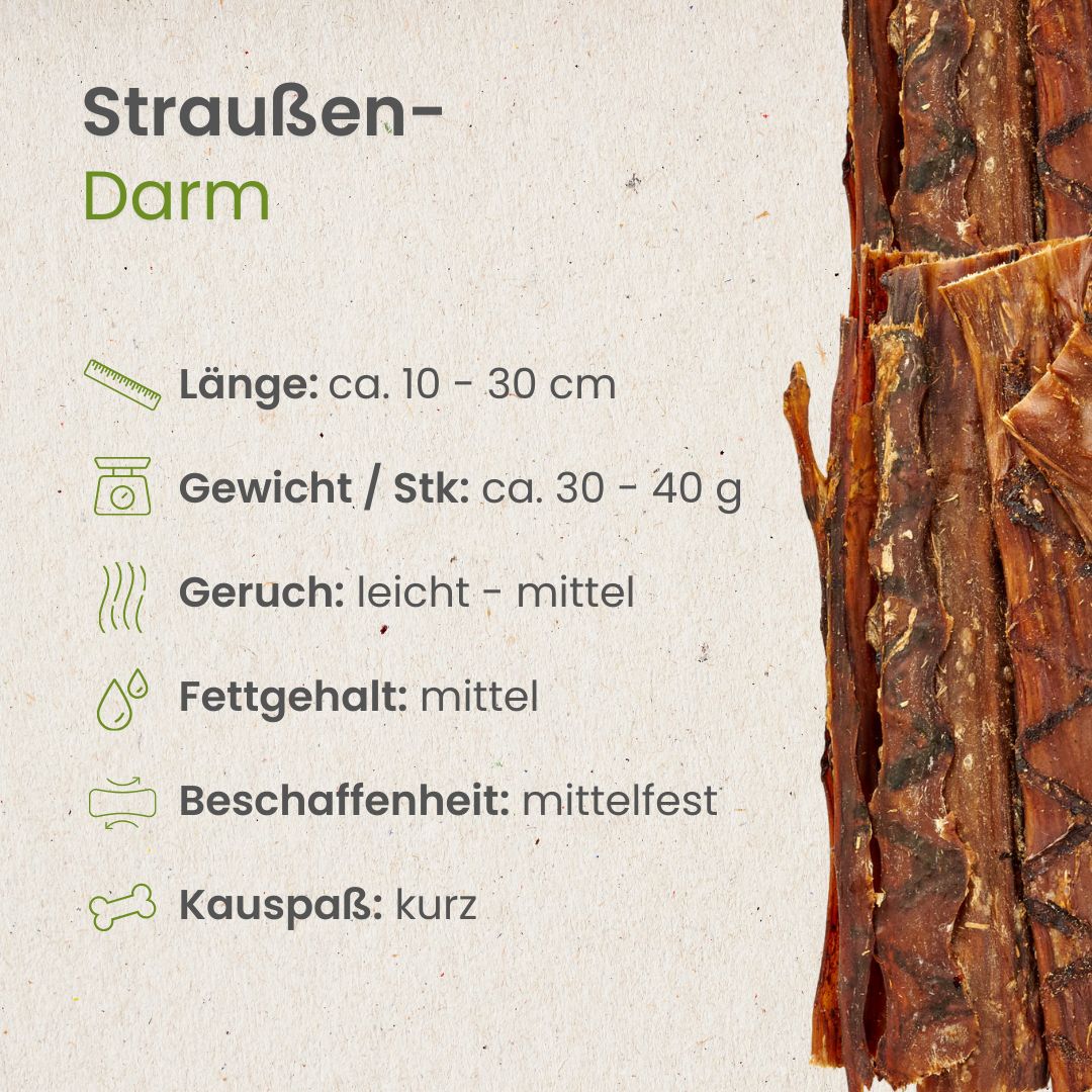 Straußen-Darm