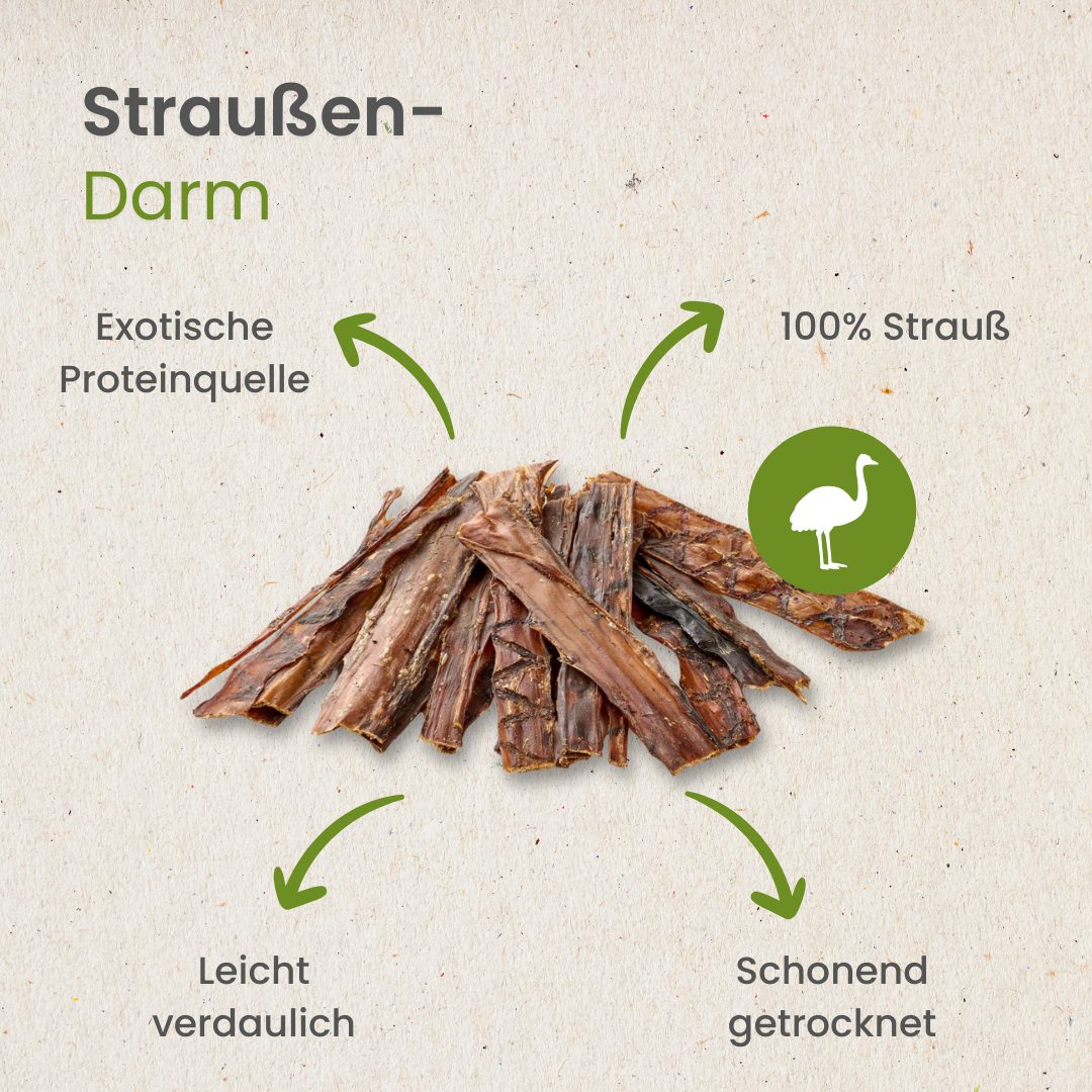 Straußen-Darm