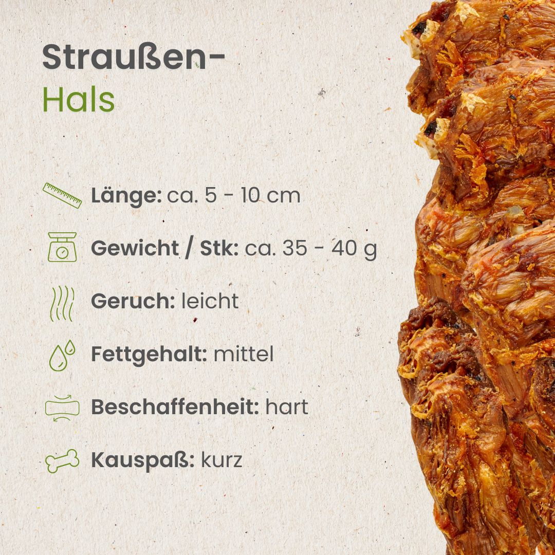 Straußen-Hals