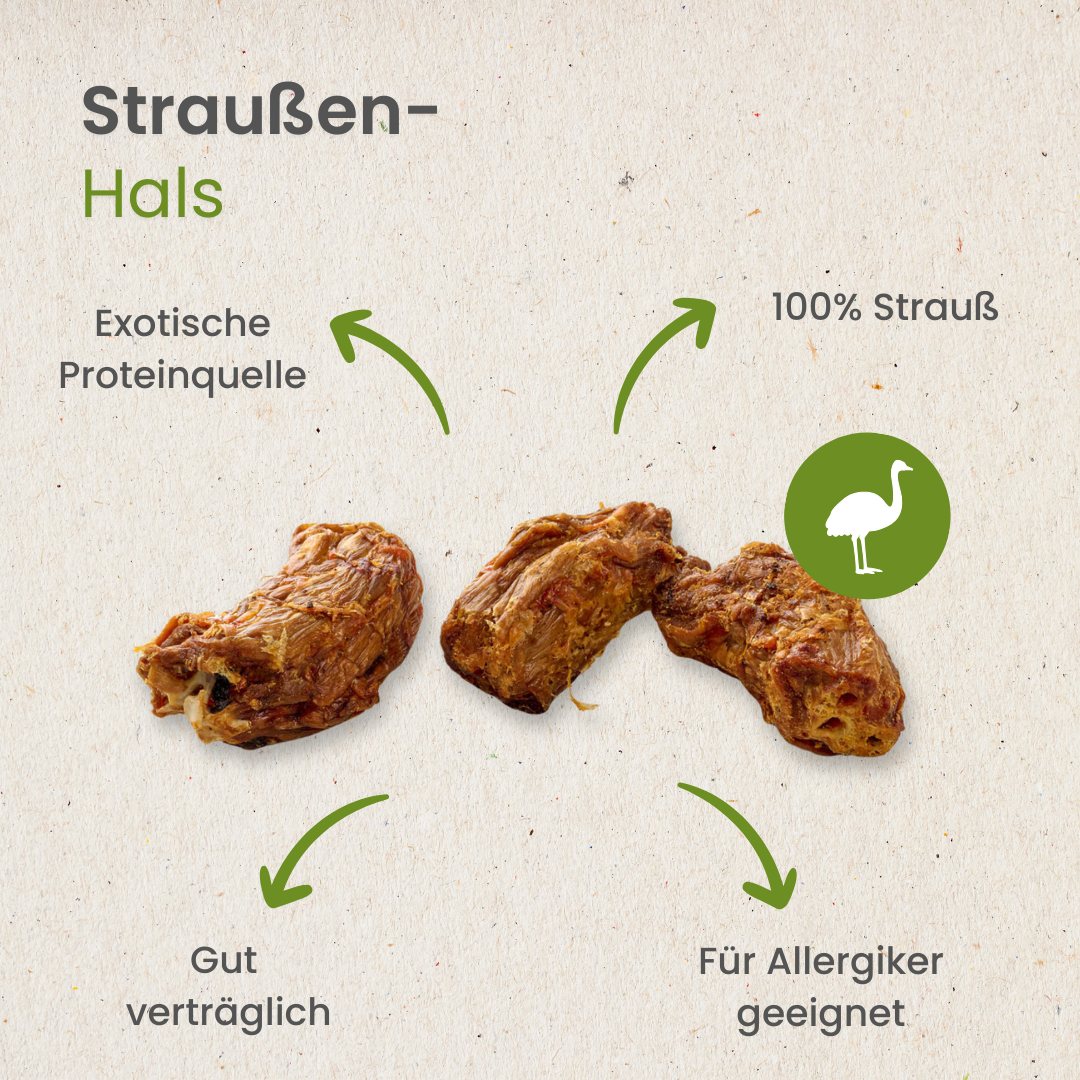 Straußen-Hals